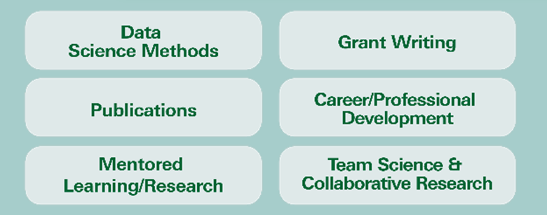 Data science, grant writing, publications, professional development, mentoring, and team science.